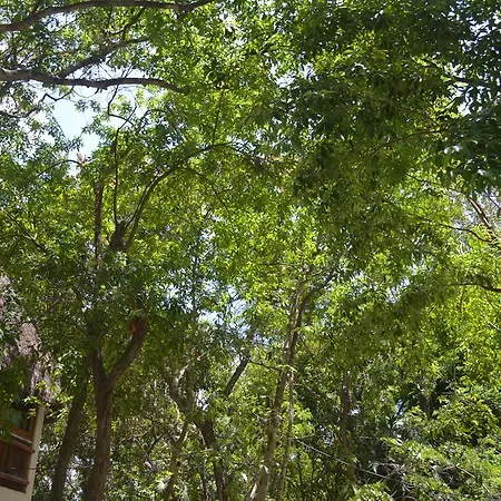 Shalala Hotel